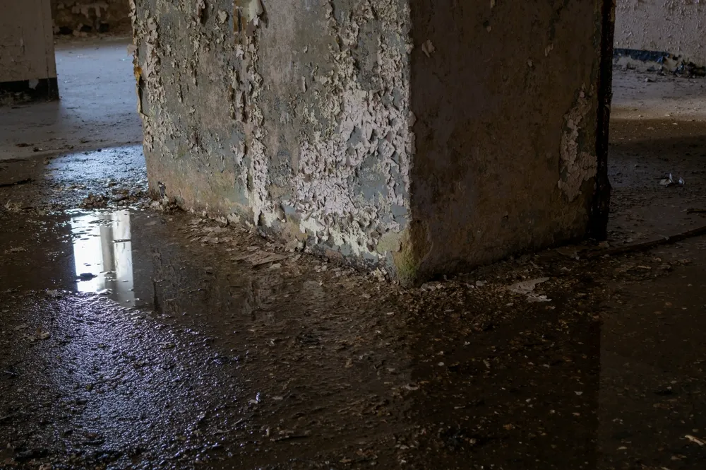 Stop Basement Flooding: 7 Causes and Drainage Solutions