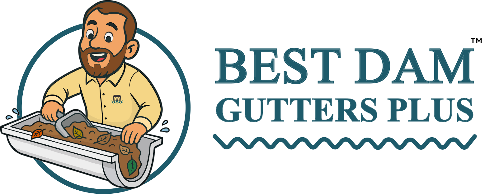 Best Dam Gutters Plus Cleaning Logo
