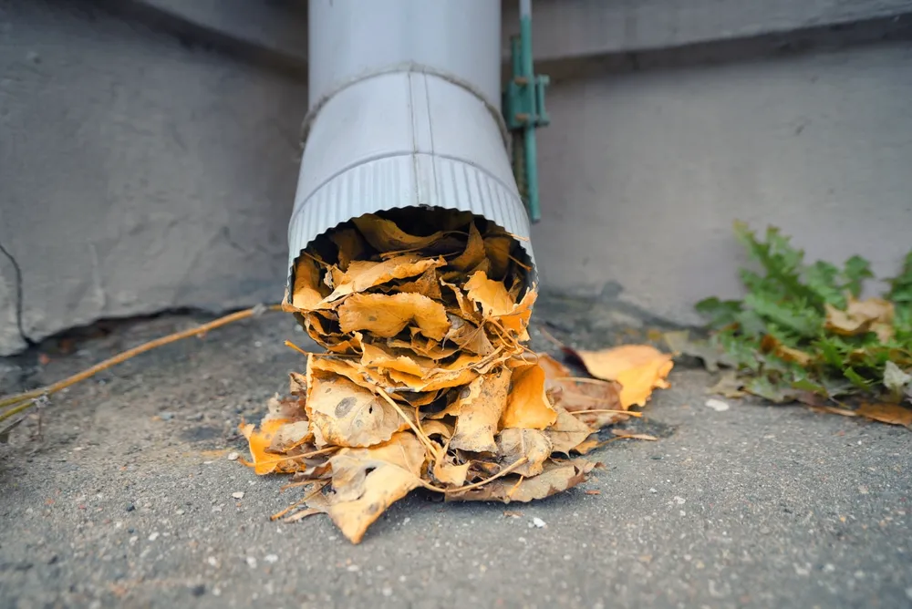 Clear Clogged Downspouts: Safe Methods to Restore Gutter Drainage