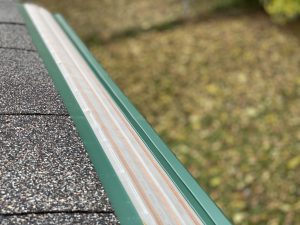 Forrest Green Mastershield