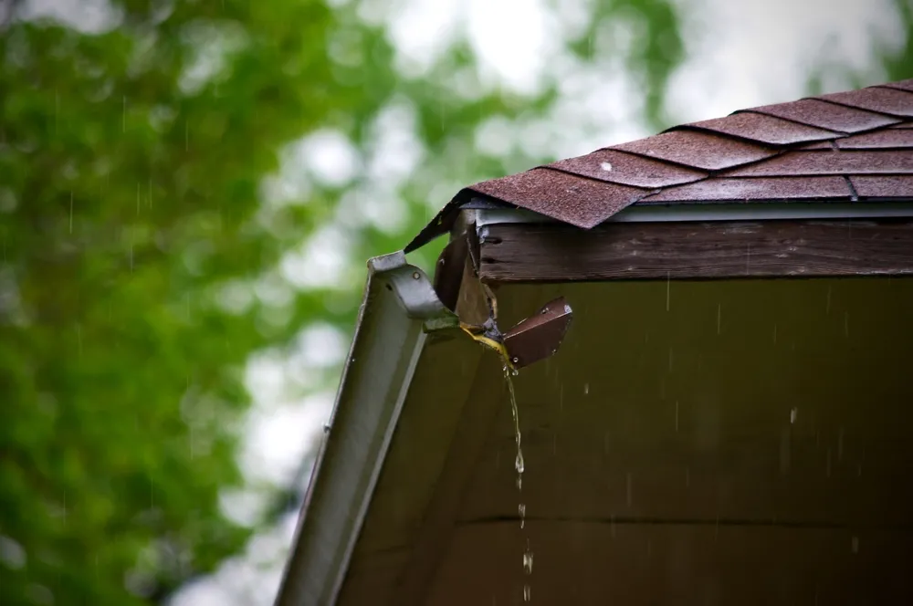 Roof gutter in a stat of disrepair