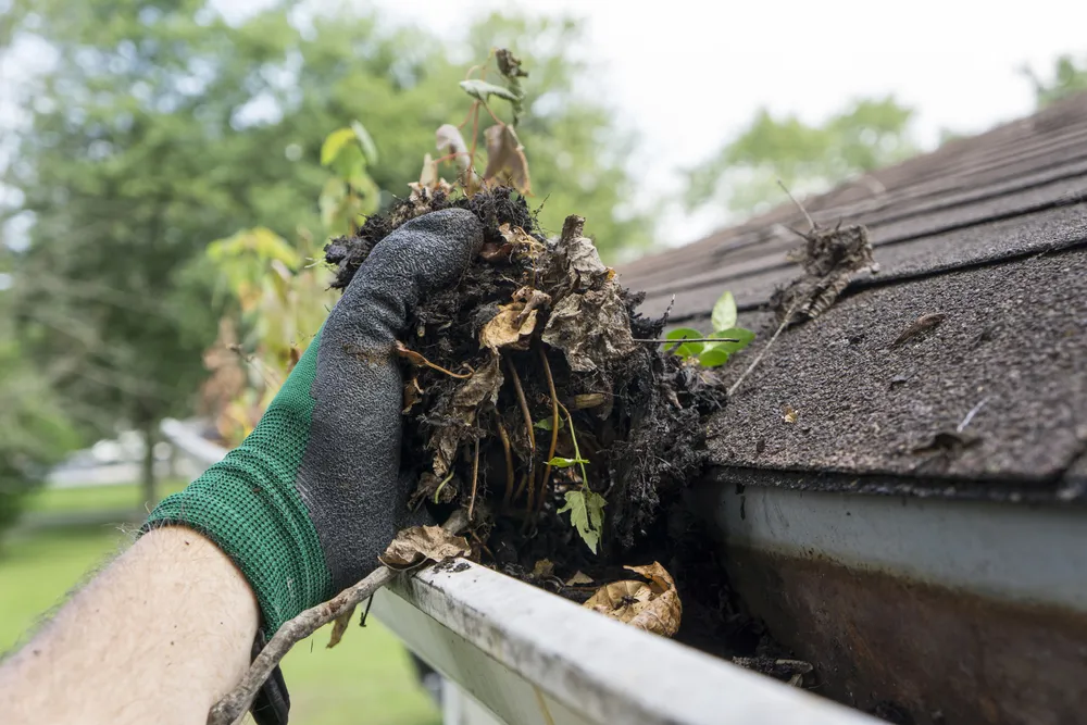 Protect Your Home: 7 Critical Reasons Why Gutter Cleaning Is Essential